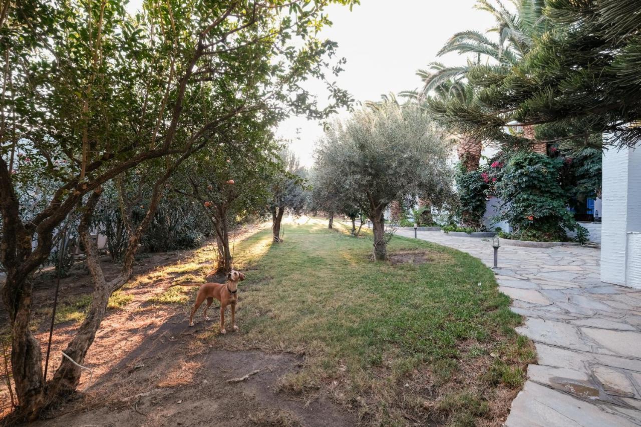 Golden Beach Studios & Suites Tinos ภายนอก รูปภาพ