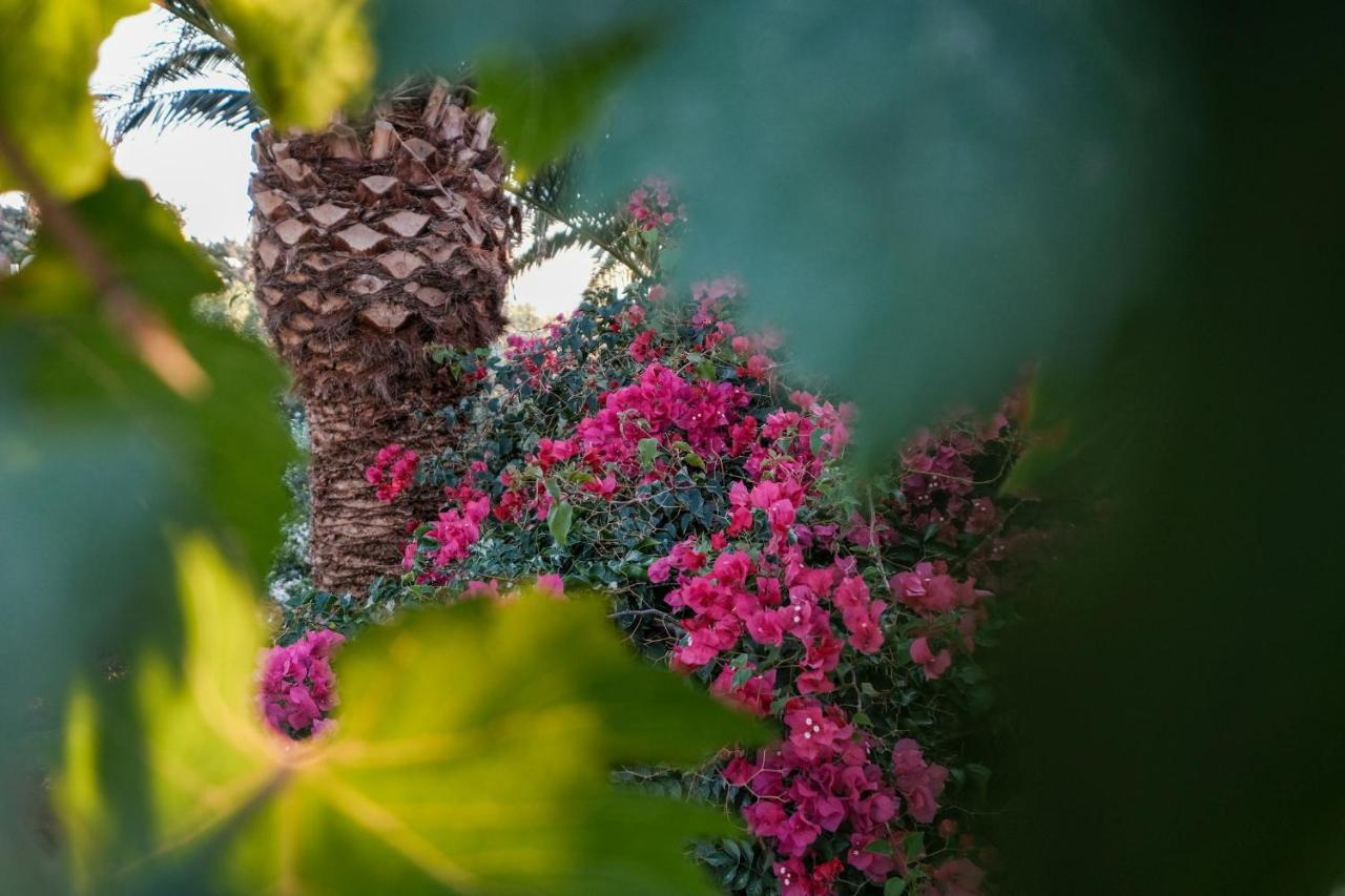Golden Beach Studios & Suites Tinos ภายนอก รูปภาพ