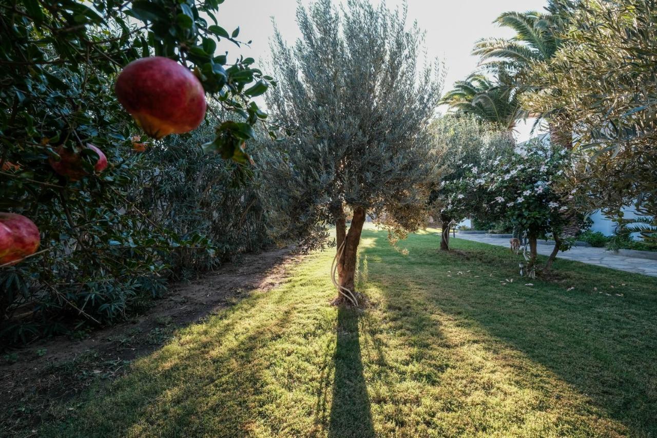 Golden Beach Studios & Suites Tinos ภายนอก รูปภาพ