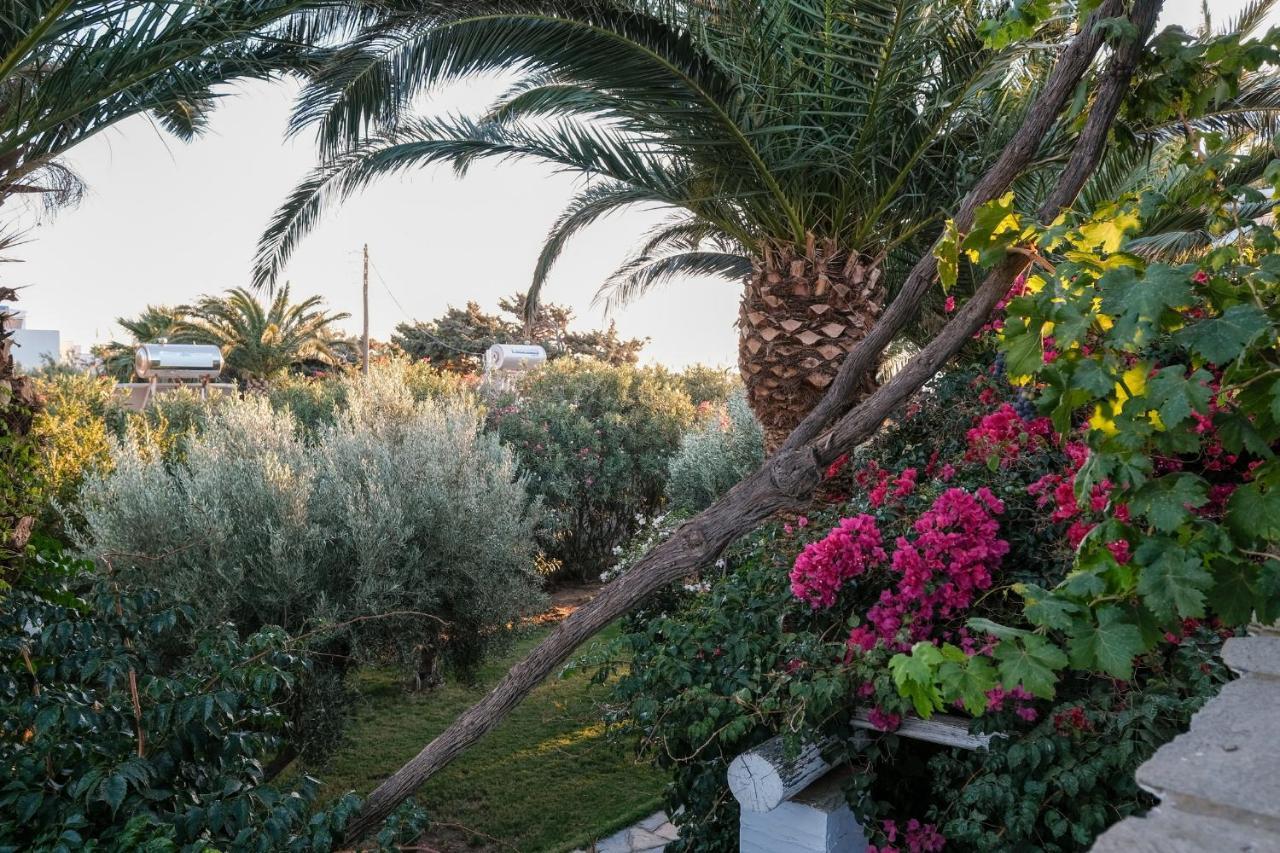 Golden Beach Studios & Suites Tinos ภายนอก รูปภาพ