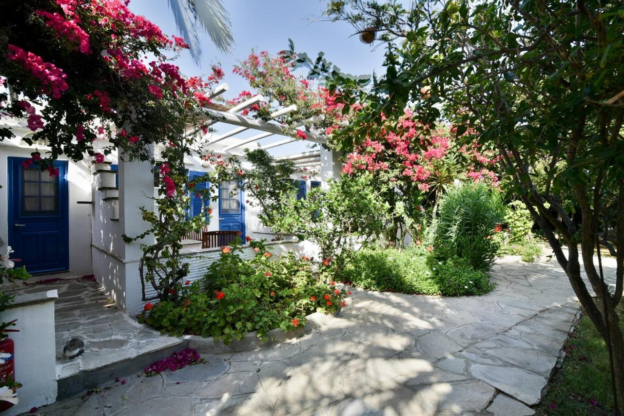Golden Beach Studios & Suites Tinos ภายนอก รูปภาพ