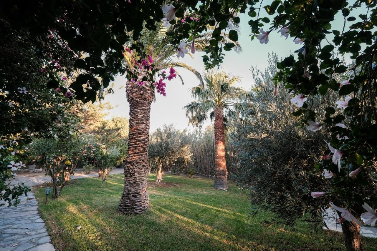 Golden Beach Studios & Suites Tinos ภายนอก รูปภาพ